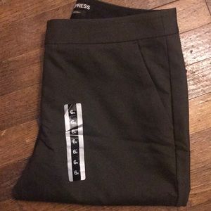 Express dress pants